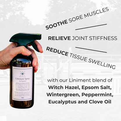 Liniment Spray for Horses