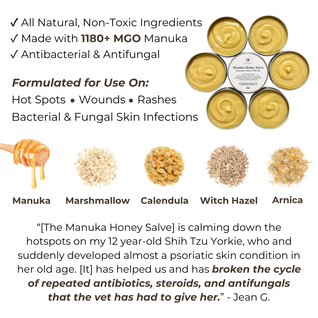 Manuka Honey Salve for Dogs, Horses & Humans