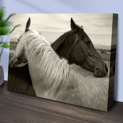 Monochrome Couple Horse Canvas Wall Art